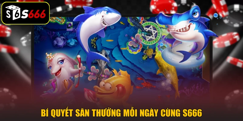 Bí quyết săn thưởng mỗi ngày cùng S666
