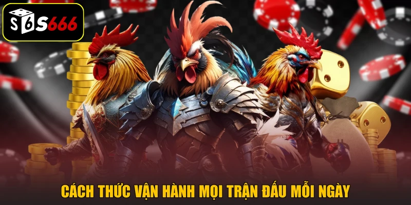 Cách thức vận hành mọi trận đấu mỗi ngày
