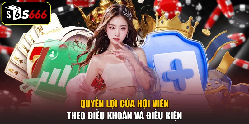 Quyền lợi của hội viên theo điều khoản và điều kiện