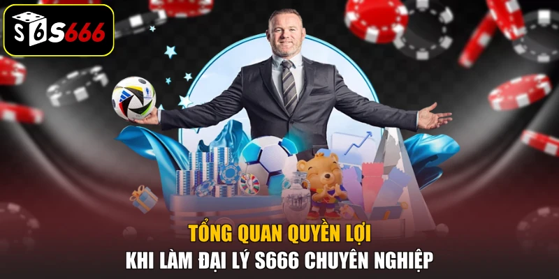 Tổng quan quyền lợi khi làm đại lý S666 chuyên nghiệp